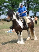 2006 067 tinkerweekend waldmohr juli