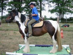 2006 048 tinkerweekend waldmohr juli