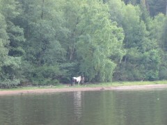 2006 068 tinkerweekend waldmohr juli