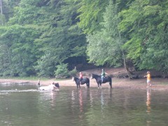 2006 070 tinkerweekend waldmohr juli