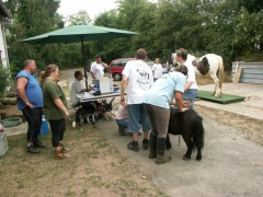 2006 067 tinkerweekend waldmohr juli