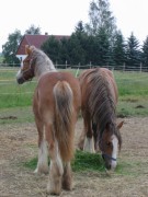 2007 007 besuch bei tina in sachsen