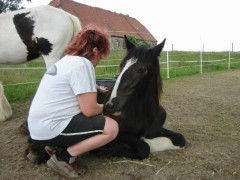2007 012 besuch bei tina in sachsen