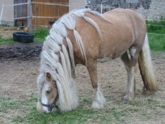 2007 022 besuch bei tina in sachsen