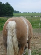 2007 023 besuch bei tina in sachsen