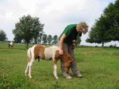 2007 waldmohr 08 001