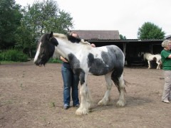 2007 waldmohr 08 001