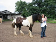 2007 waldmohr 08 001