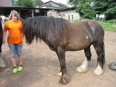 2007 waldmohr 08 001