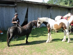 2007 waldmohr 08 001