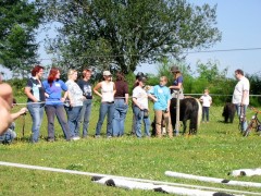 2007 waldmohr 08 001