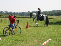 2007 waldmohr 08 001