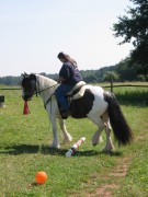 2007 waldmohr 08 001