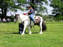 2007 waldmohr 08 001