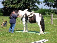 2007 waldmohr 08 001