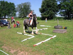 2007 waldmohr 08 001