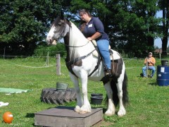 2007 waldmohr 08 001