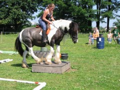 2007 waldmohr 08 001