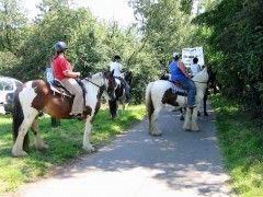 2007 waldmohr 08 001