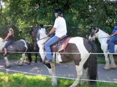 2007 waldmohr 08 001