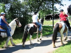 2007 waldmohr 08 001