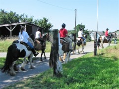 2007 waldmohr 08 001