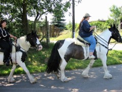 2007 waldmohr 08 001