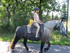 2007 waldmohr 08 001