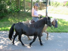 2007 waldmohr 08 001