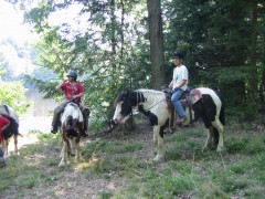 2007 waldmohr 08 001