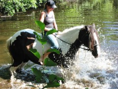 2007 waldmohr 08 001