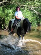 2007 waldmohr 08 001