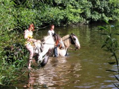 2007 waldmohr 08 001