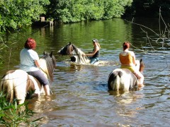 2007 waldmohr 08 001