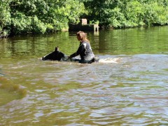 2007 waldmohr 08 001