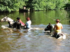 2007 waldmohr 08 001