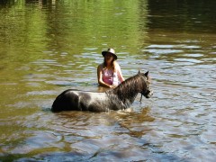 2007 waldmohr 08 001