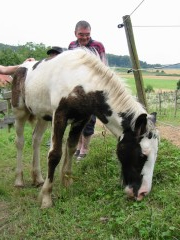 2009 bodensee august 001