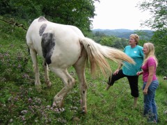 2009 bodensee august 001