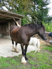 2009 bodensee august 001