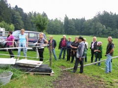 2009 bodensee august 012