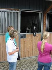 2009 bodensee august 001