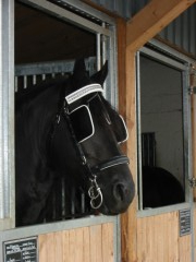 2009 bodensee august 001