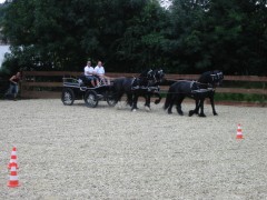 2009 bodensee august 001