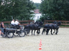 2009 bodensee august 001