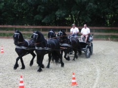 2009 bodensee august 001