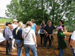 2009 bodensee august 001