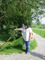 2009 bodensee august 001