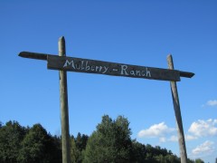 2011 004 mulberryranch