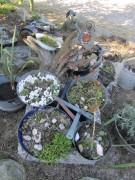 2011 004 mulberryranch